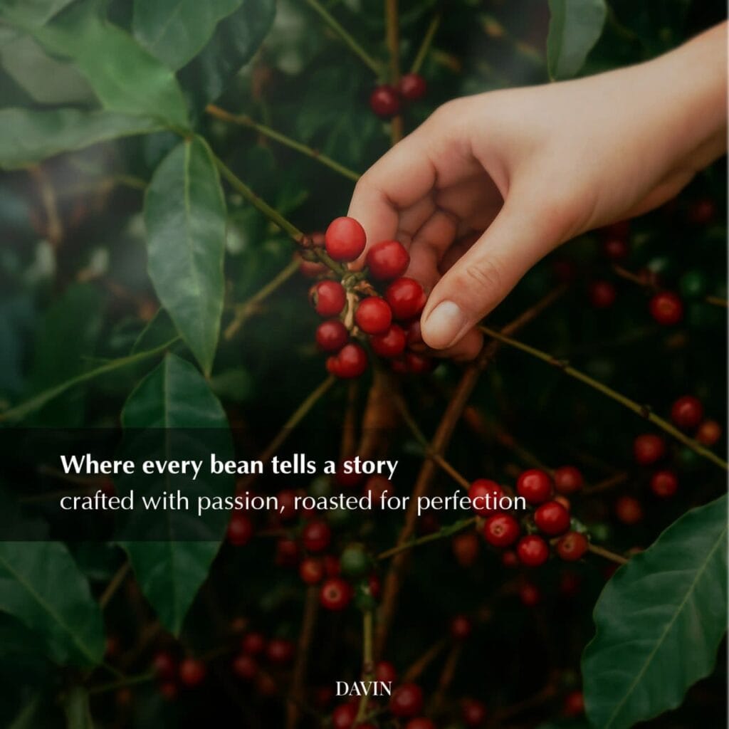 ภาพระยะใกล้ของผลกาแฟเชอร์รี่สีแดงบนต้น พร้อมข้อความปรัชญาของ Davin Cafe เน้นย้ำเรื่องราวและจุดกำเนิดของกาแฟสเปเชียลตี้.