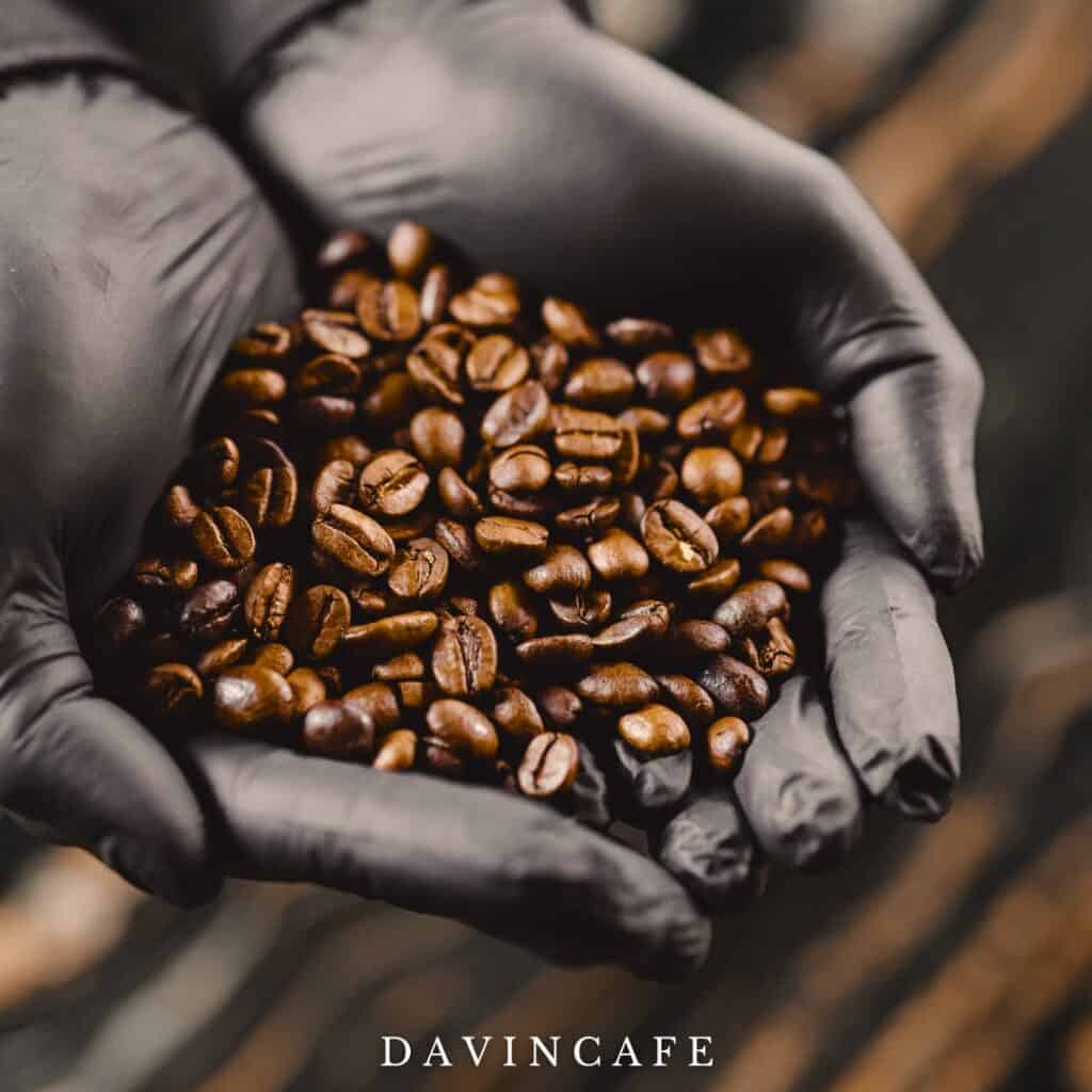 Premium roasted coffee beans selected by DAVIN CAFE baristas for crafting exceptional cold brew, delivering smooth sweetness, rich aroma, balanced flavor, and a refined specialty coffee experience