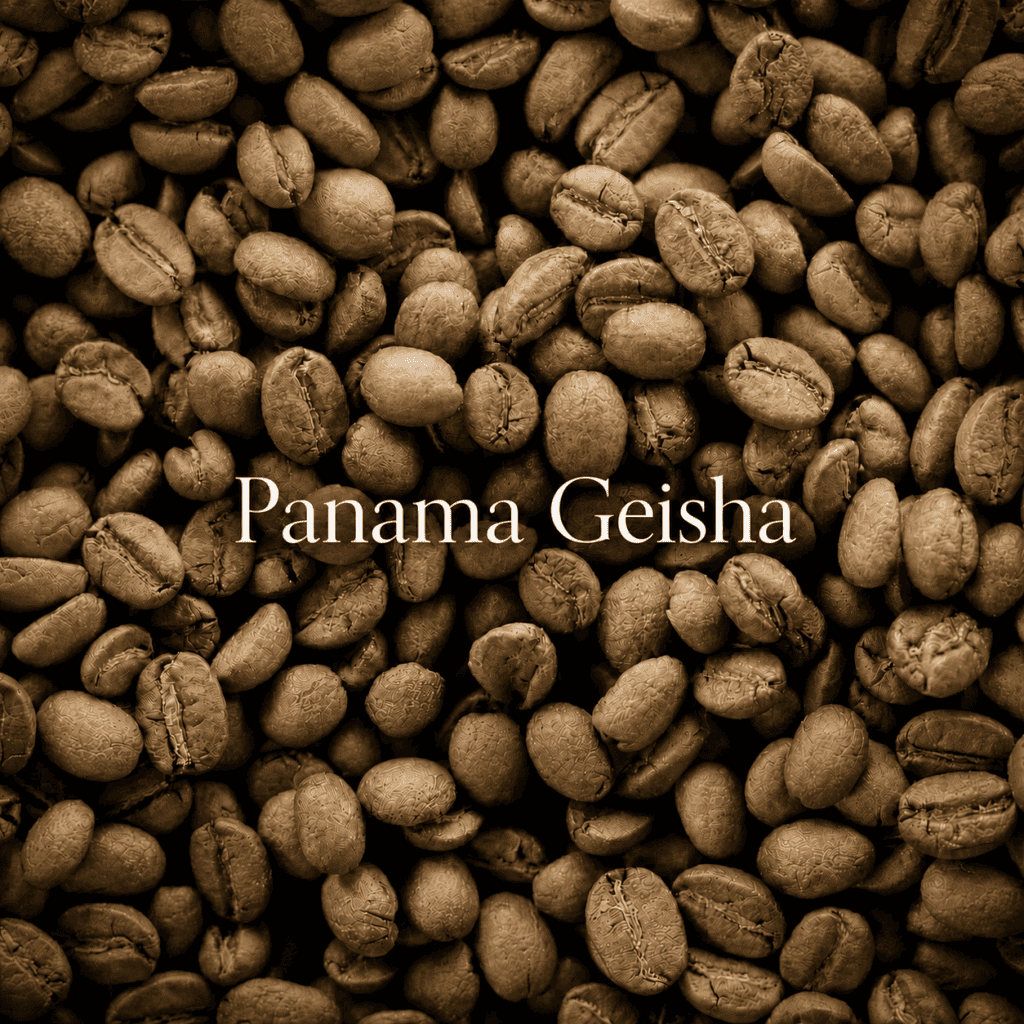 Panama Geisha specialty coffee beans known for floral and fruity characteristics, selected for DAVIN CAFE